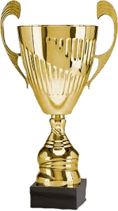 Tournament Logo